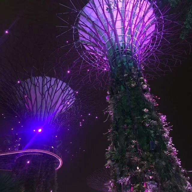 Check out Gardens by the Bay’s annual Christmas Wonderland