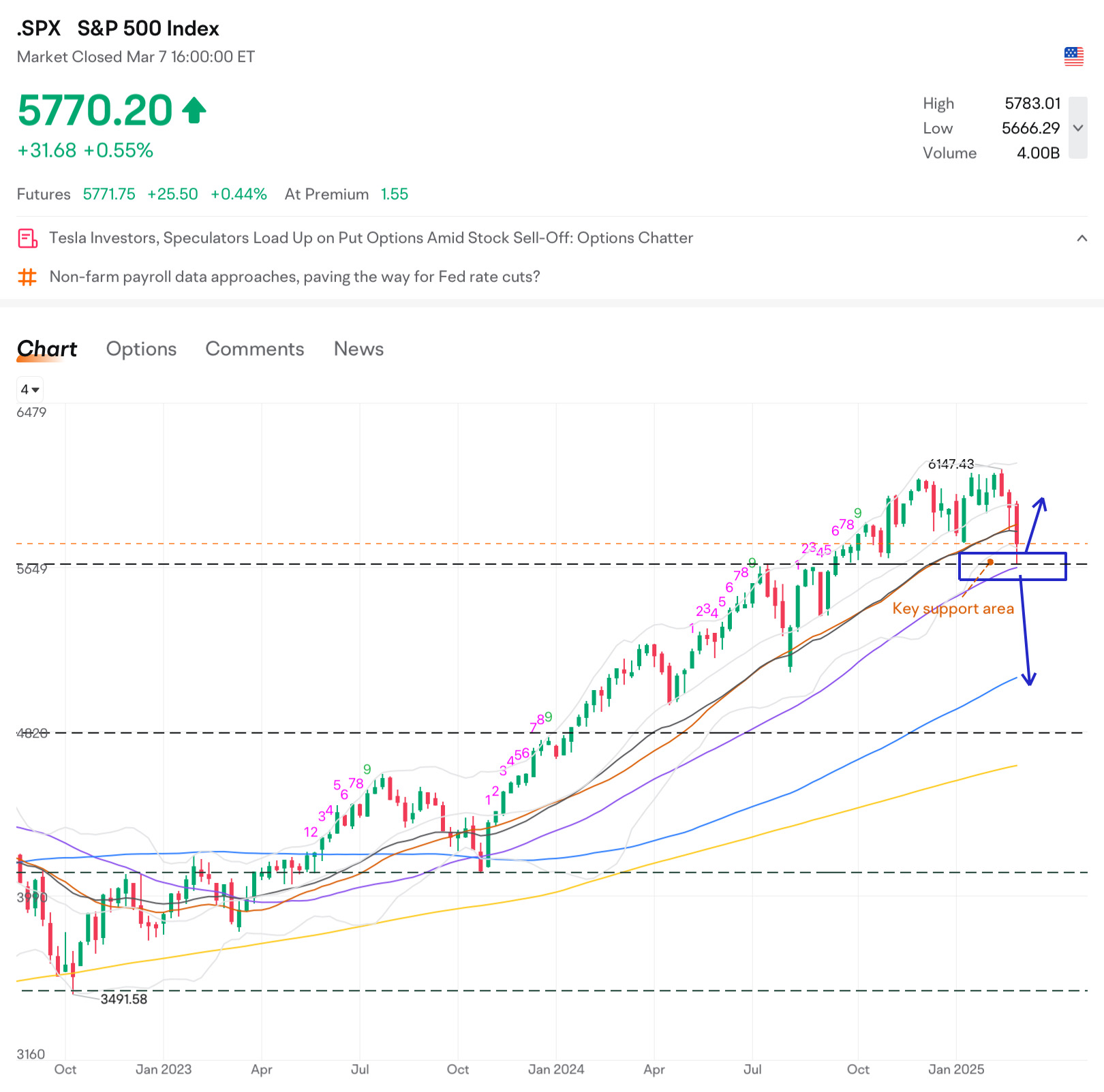 Weekly Trading Report (1st Week Mar)