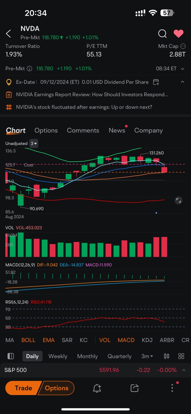 NVDA - 看淡勢頭