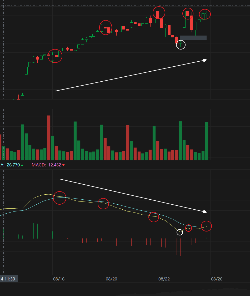 SP500 MACD