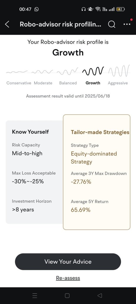 Robo advisor risk profile