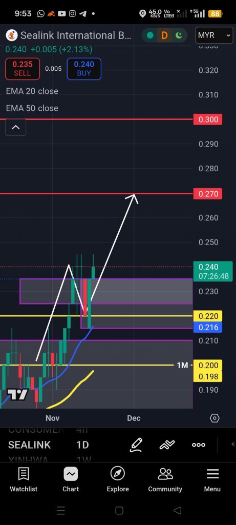 MOMENTUM BULLRUN ✨