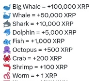 你是哪種魚？