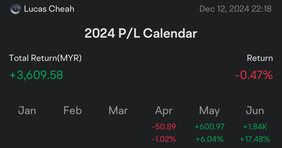 2024 recap: The most emotional rollercoaster moments in my 2024 investment journey