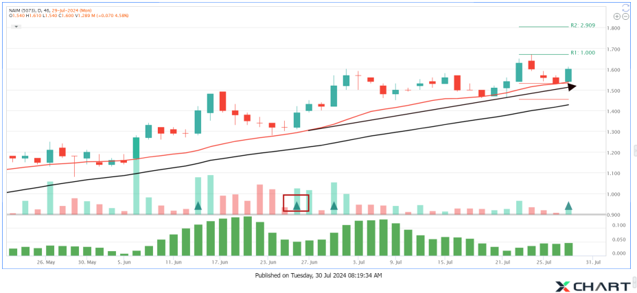 NAIM Another Pullback from 20MA