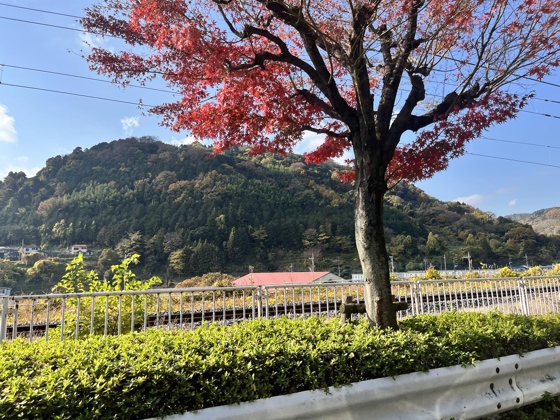 ビットコイン (BTC.CC)$ ビットコインの考案者である中本哲史氏の母国、日本での休暇から戻りました。どの店舗もビ... -  moomooコミュニティ