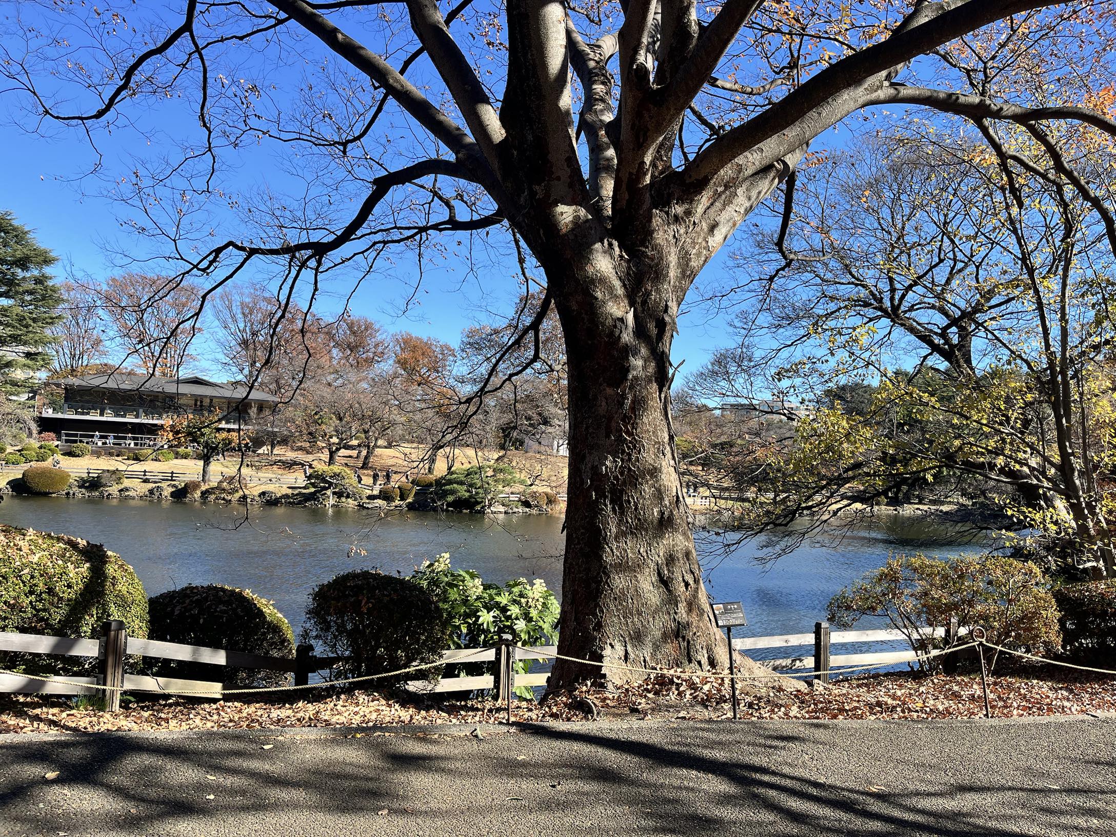 ビットコイン (BTC.CC)$ ビットコインの考案者である中本哲史氏の母国、日本での休暇から戻りました。どの店舗もビ... -  moomooコミュニティ