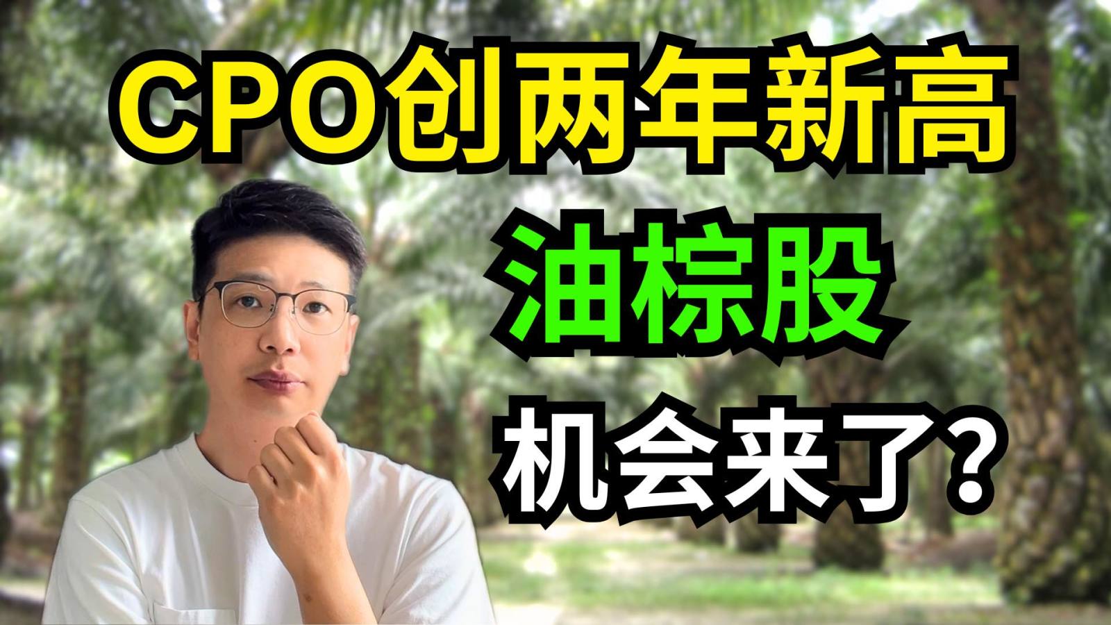 CPO棕油价暴涨，油棕股机会来了？ | 精选2只低估高股息油棕股