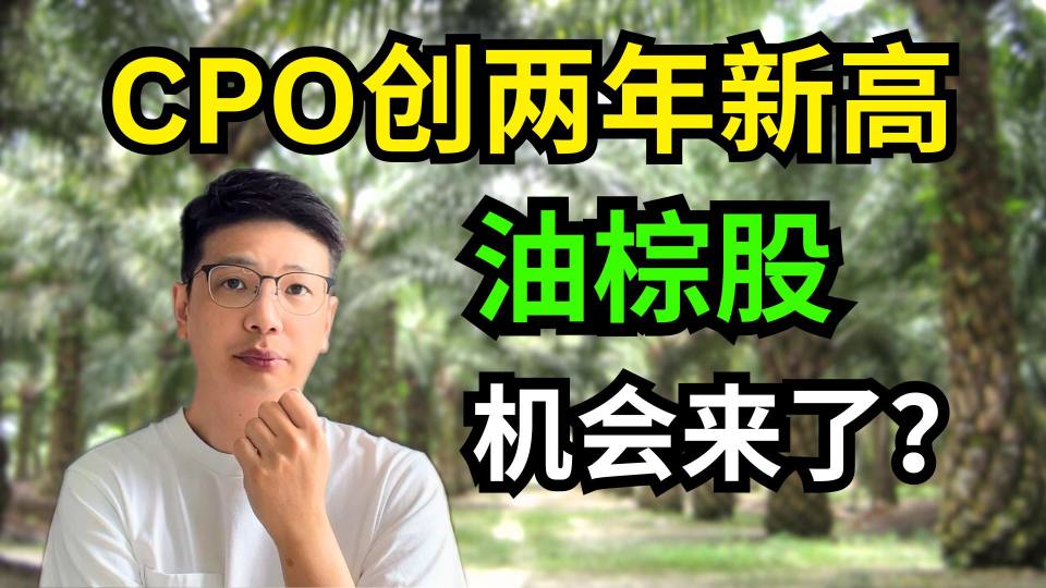 CPO棕油价暴涨，油棕股机会来了？ | 精选2只低估高股息油棕股