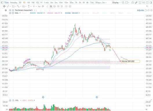 预计TSLA将回到260-263的水平