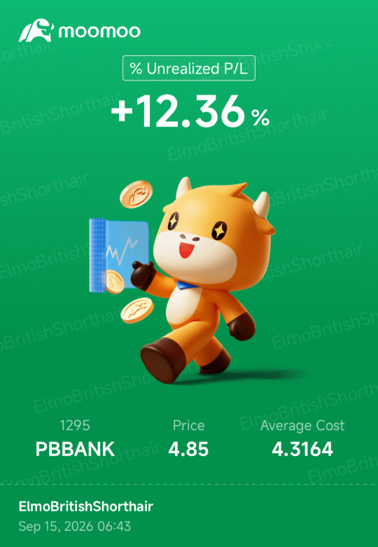 PBBANK (1295) — ผู้ชนะไม่จำเป็นต้องหวือหวาเสมอไป 😄