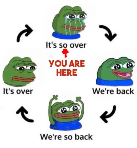 We've been through this sh!t before, hang in there.