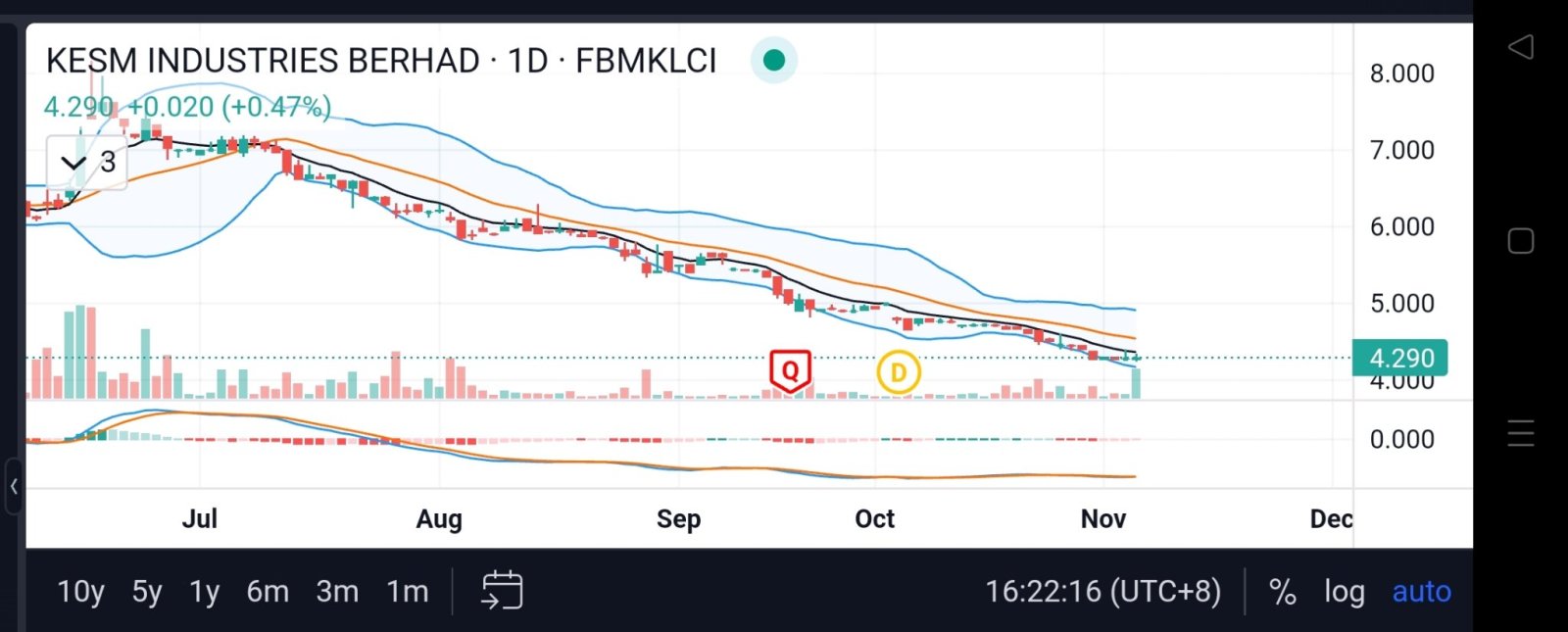 possible dead cat rebound?