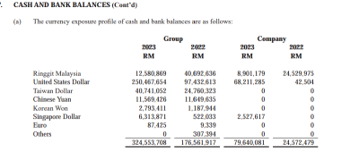 Will you care about the company's huge foreign exchange losses in the second half of the year?