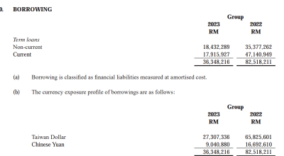 Will you care about the company's huge foreign exchange losses in the second half of the year?