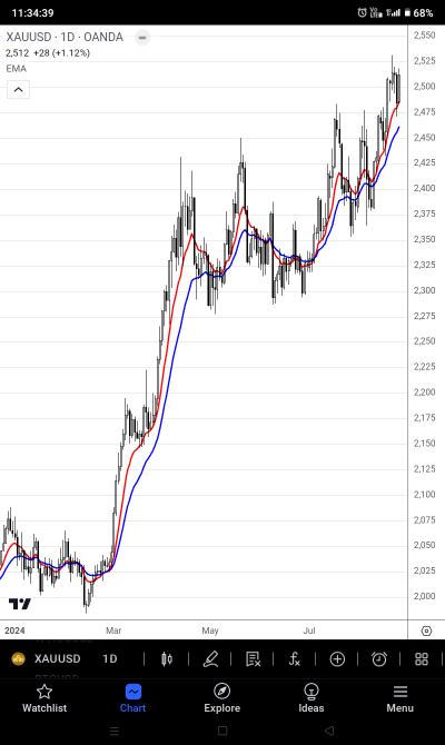 Why aren't gold horse stocks rising?