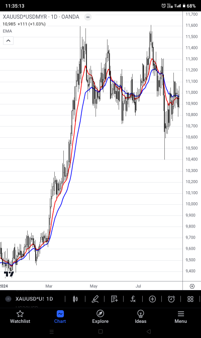 Why aren't gold horse stocks rising?