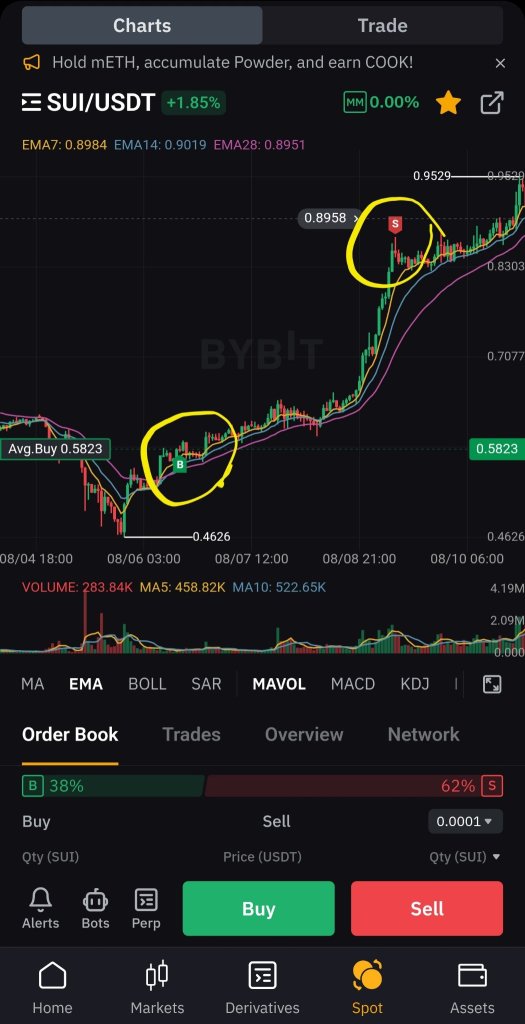 Navigating the Financial Meltdown: Buying the Dip