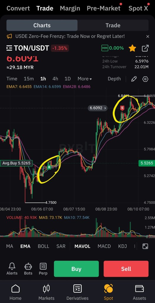 Navigating the Financial Meltdown: Buying the Dip