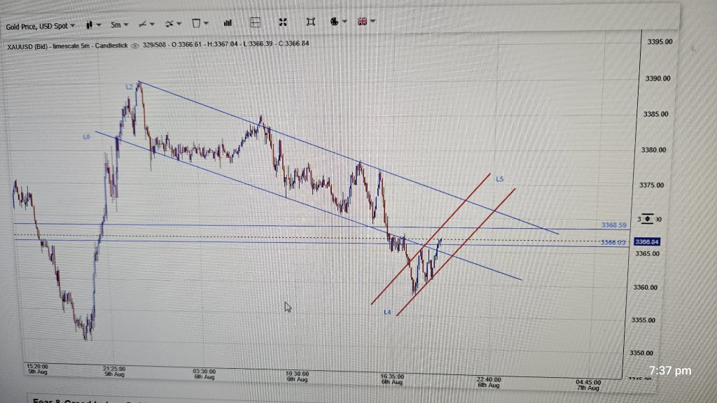 5分钟图表更新