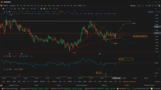 mrDIY Breakout