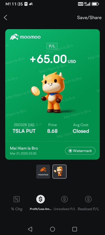 🎯 TSLA 與三重巫術 – 磁吸價格效應