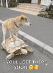 慢就是快
