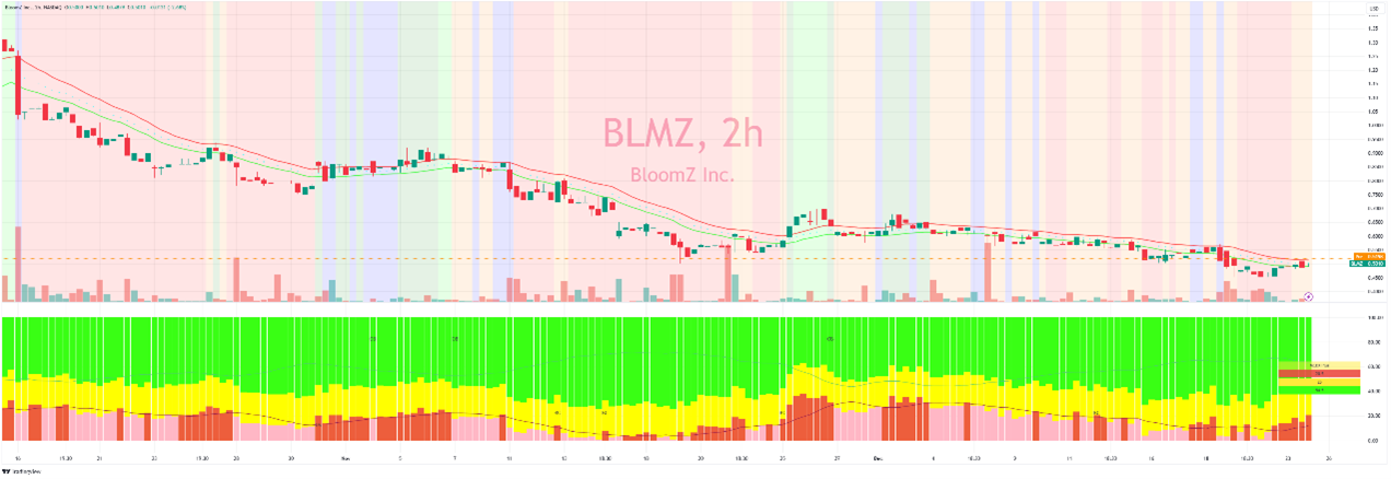 BloomZ Inc. (NASDAQ:BLMZ): Neutral Outlook Despite Market Chaos