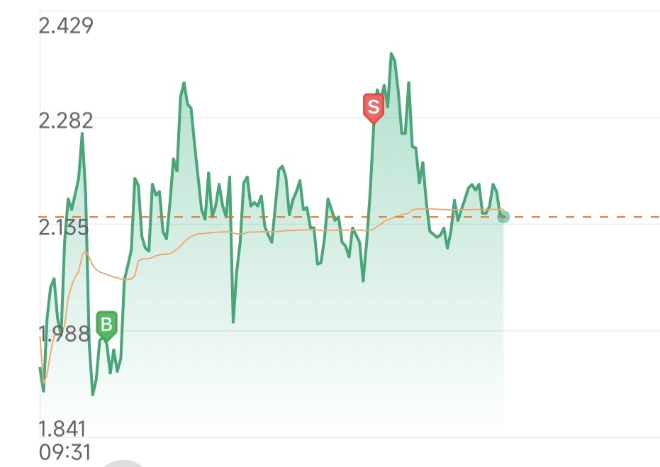 Newbie here, is there still an opportunity to trade this stock intraday?