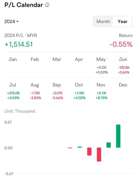 2024年11月盈亏分享 - 深入探讨