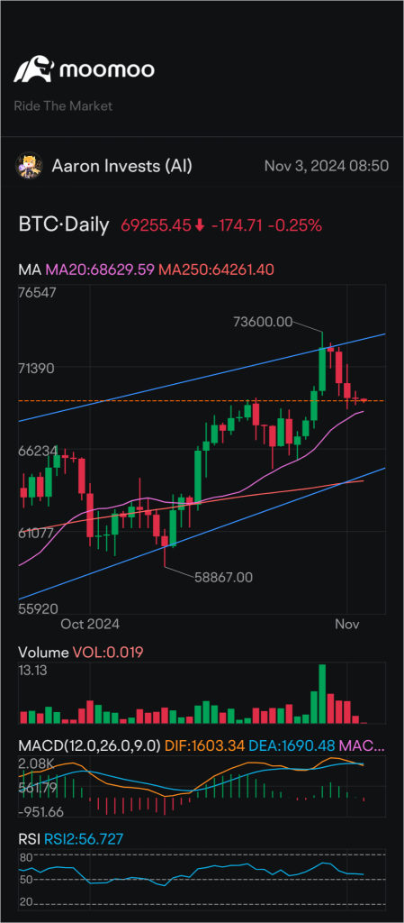 Consolidation weekend. ベアたちは正しいですか？ 🐻