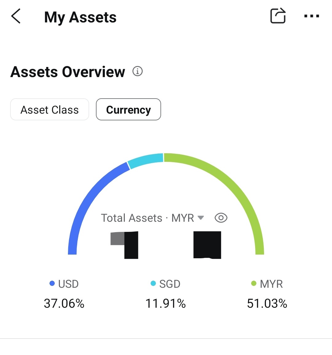 Strategy for 2025 uncertainty due to geopolitical factor