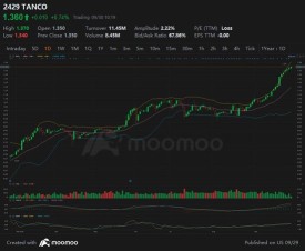 Why did Tanco Holdings Berhad keep going up?