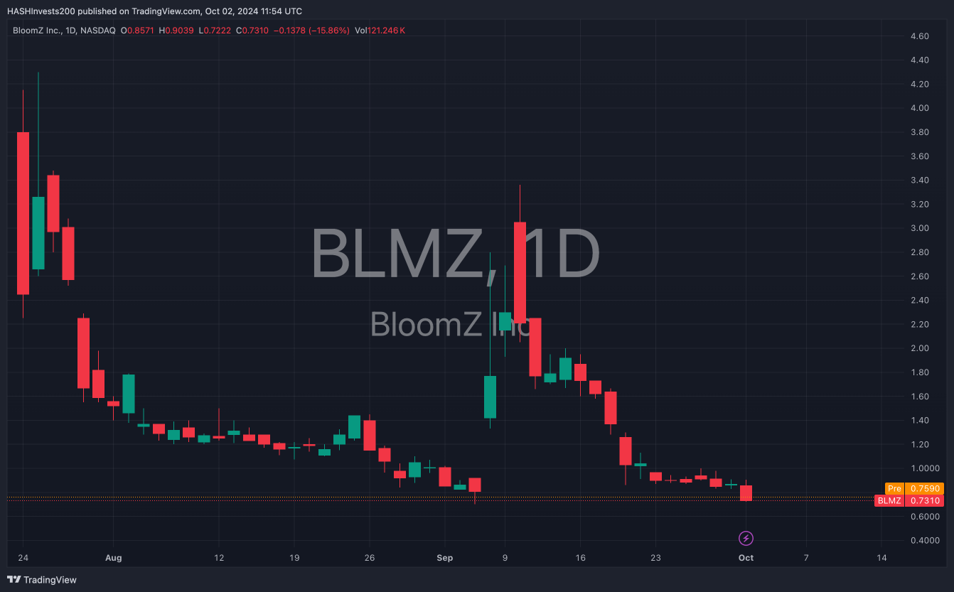 最近，市场上对BloomZ公司（BLMZ）有相当多的关注