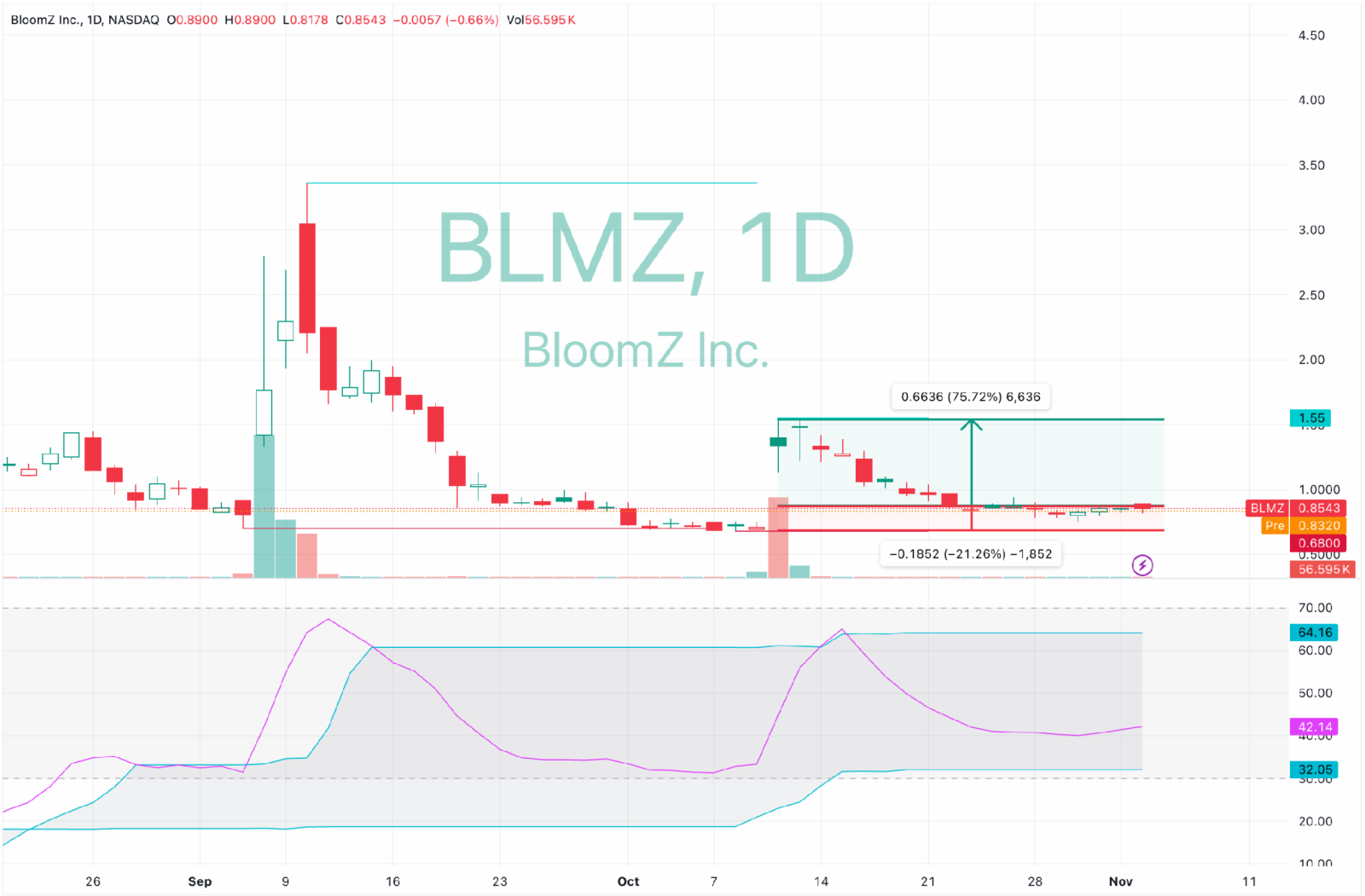 "有吸引力的支撑位" - BloomZ 公司（纳斯达克：BLMZ）| 241105