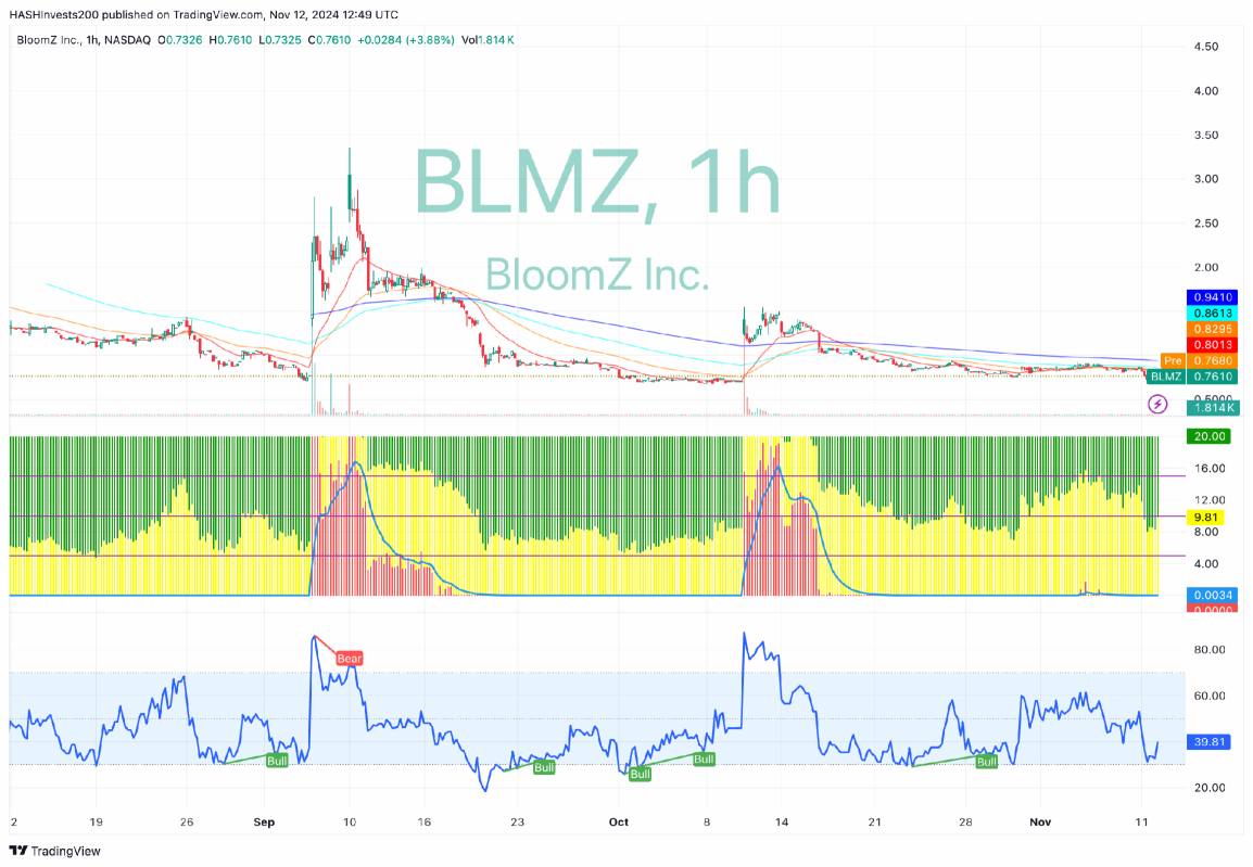 Trading Idea: BloomZ Inc. (NASDAQ: BLMZ) | 12 November 2024