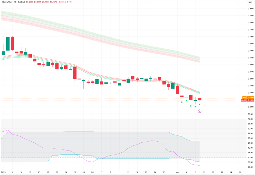 對BloomZ Inc.（納斯達克：BLMZ）的技術面分析
