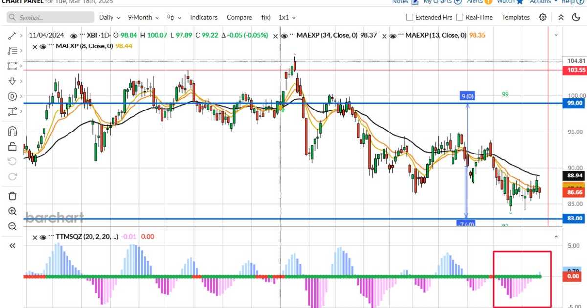 Issue #203 - Synthetic Stock on XBI (18.3.25)