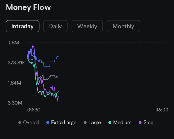 Whales 🐋 Buying While Retail Panics