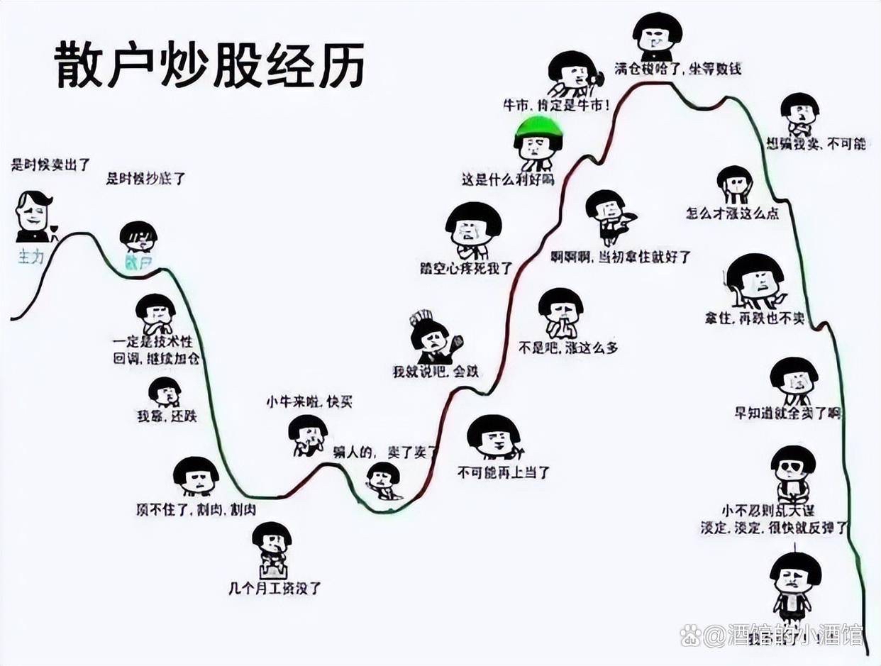 個人投資家の株式投資のジェットコースター🎢経路図、あなたもそうですか？