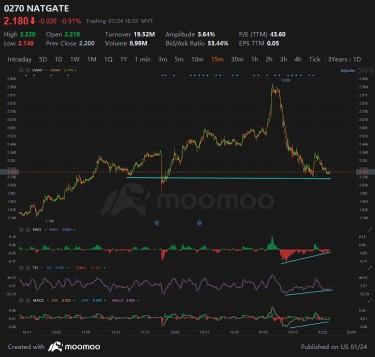 NATIONGATE SEEN 3 DIVERGENCE in 15 and 30 mins chart