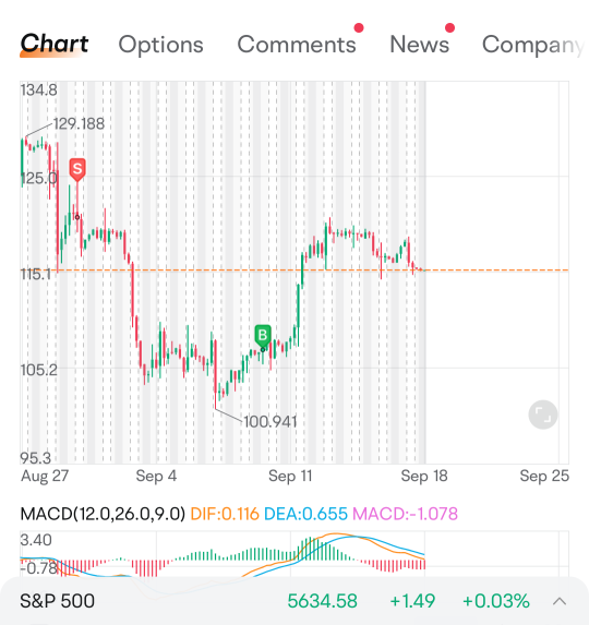 Wheeling the Dip - Bearish Bull 🐂 #ETF Adventures with Moomoo