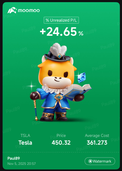 TESLA EARNING