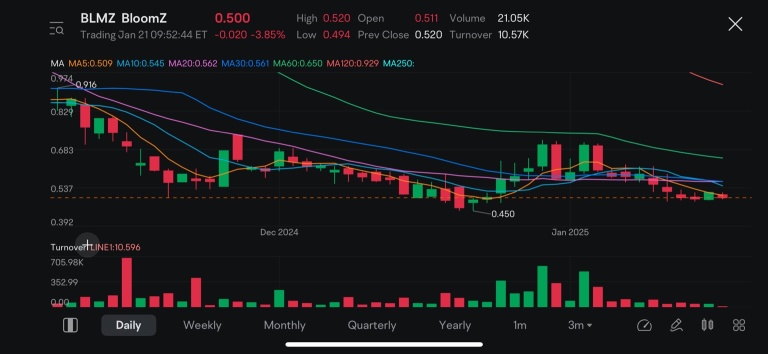 Technical Analysis on BloomZ Inc. (NASDAQ: BLMZ)