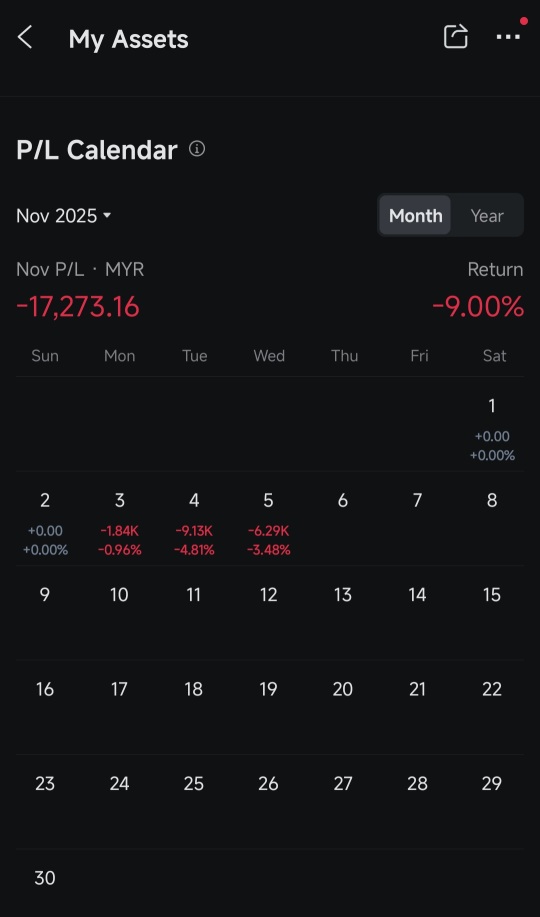 任何人的投資組合在11月都和我的類似（虧損17,000）