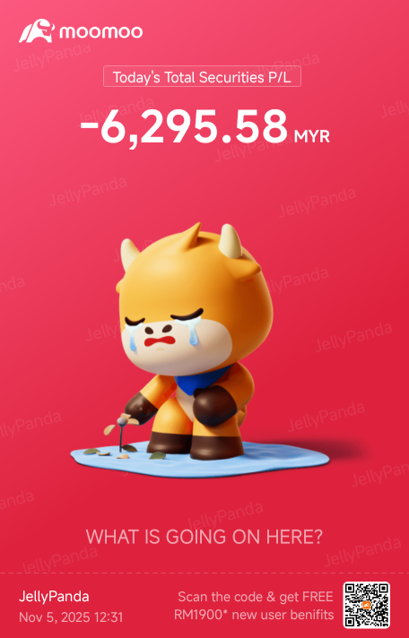 任何人的投資組合在11月都和我的類似（虧損17,000）