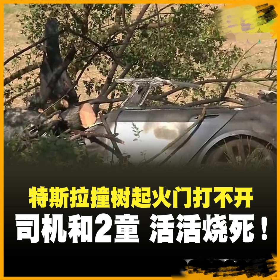 接下来会有波动吗？