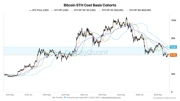ビットコインの短期保有者は依然として15%の含み損状態にある。
