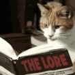 My read