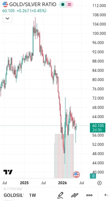 GSR：金銀比